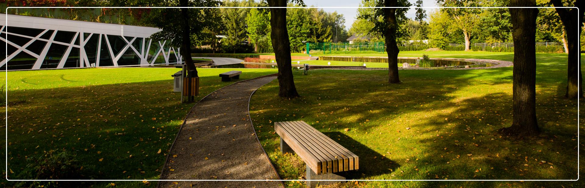 krzewy kwiaty i zielona trawa w zadbanym ogrodzie